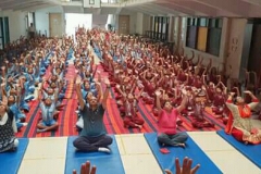 Yoga Day 2018-19 (6)